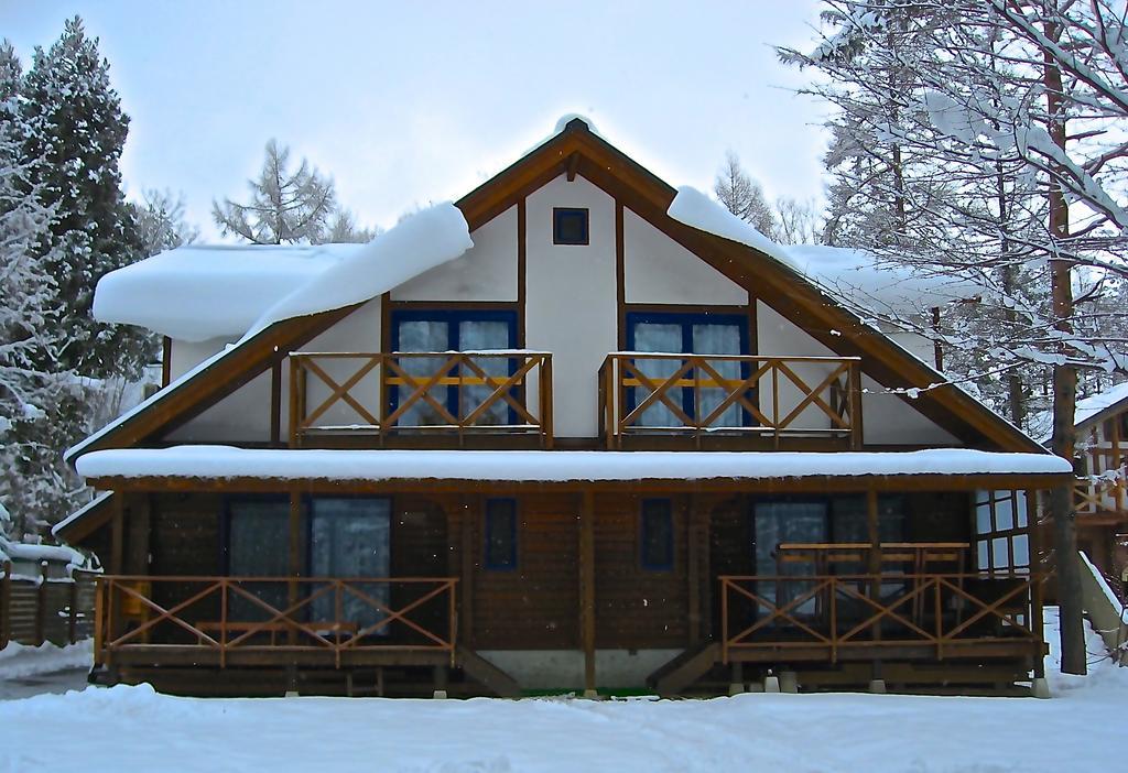 Hakuba Megeve Villa Rum bild