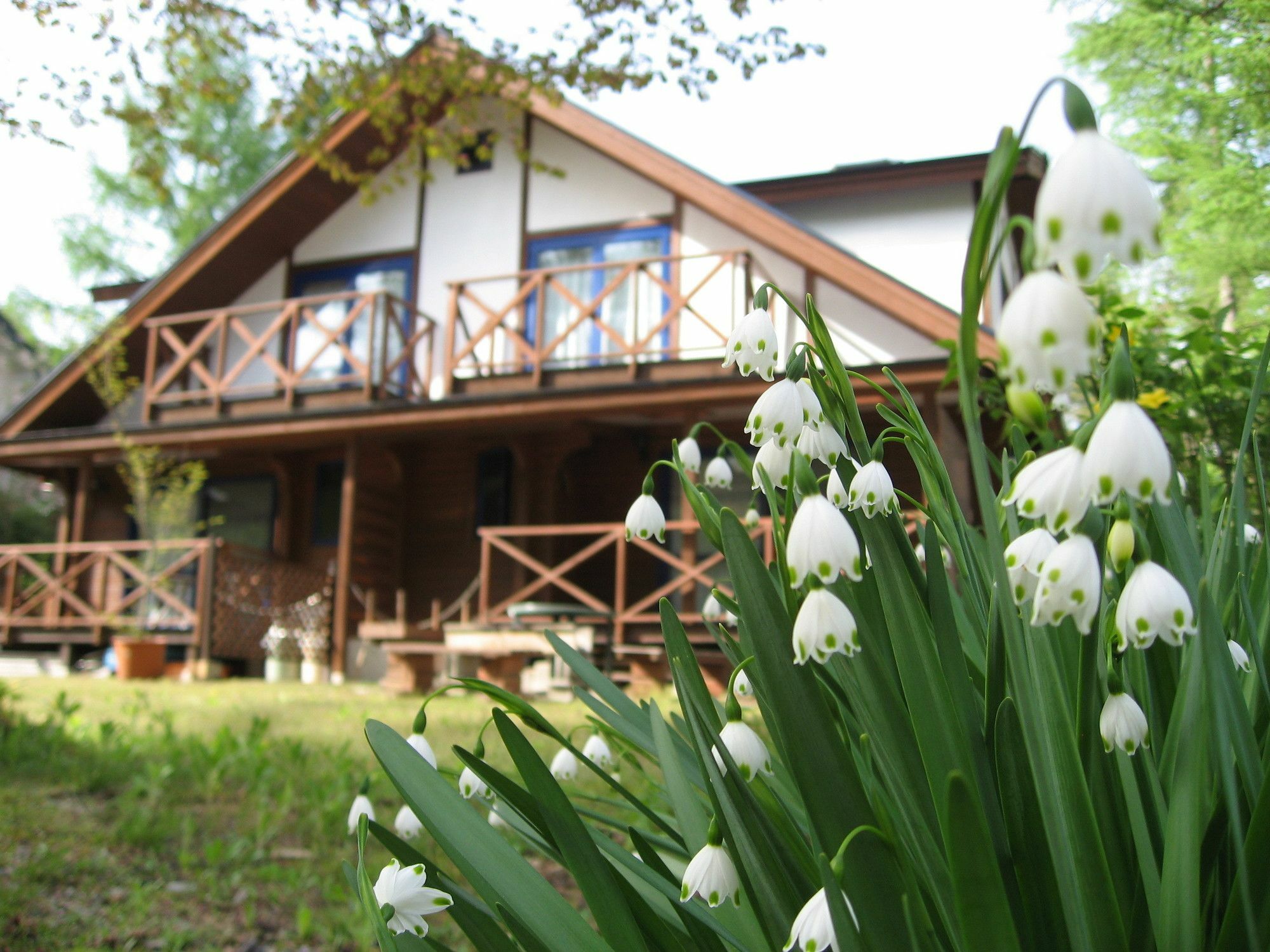 Hakuba Megeve Villa Exteriör bild